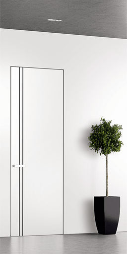 SMART PRO 2V BLACK POLAR WHITE DOUBLE INVISIBLE METAL FRAME BELLDINNI MODERN INTERIOR DOOR - 1
