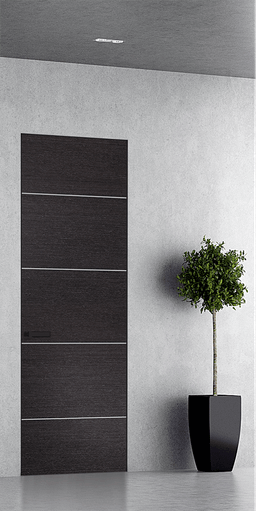 AVANTI 4H BLACK APRICOT DOUBLE INVISIBLE METAL FRAME BELLDINNI MODERN INTERIOR DOOR - 1