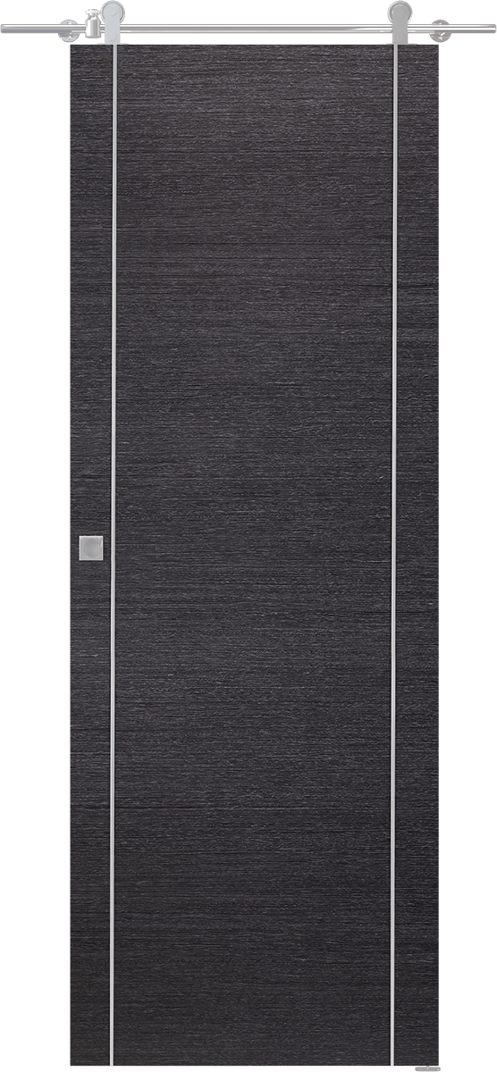 AVANTI 2U BLACK APRICOT DOUBLE BARN BELLDINNI MODERN INTERIOR DOOR - 1