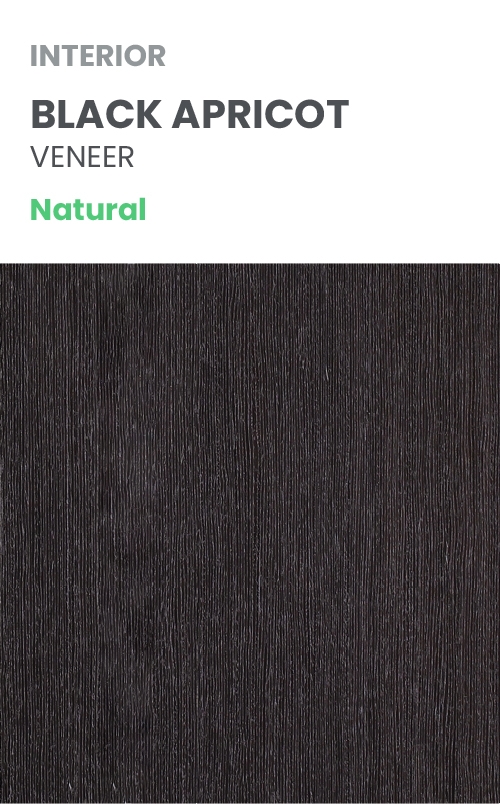 AVANTI 4H BLACK APRICOT BYPASS BELLDINNI MODERN INTERIOR DOOR - 10