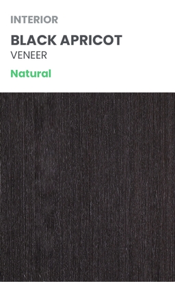 AVANTI 4H BLACK APRICOT BYPASS BELLDINNI MODERN INTERIOR DOOR - 10