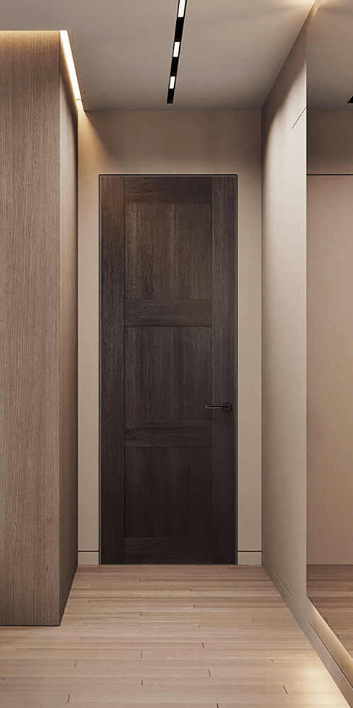 AVON 07 2RN VERALINGA OAK DOUBLE INVISIBLE METAL FRAME BELLDINNI MODERN INTERIOR DOOR - 2