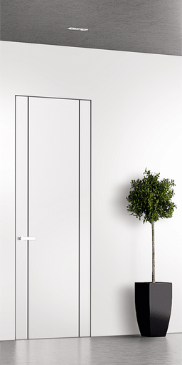SMART PRO 2U BLACK POLAR WHITE DOUBLE INVISIBLE METAL FRAME BELLDINNI MODERN INTERIOR DOOR - 1