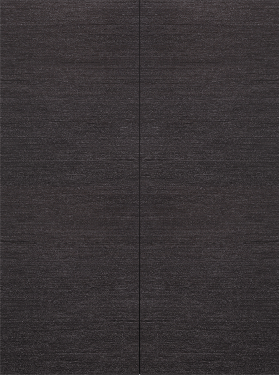AVANTI BLACK APRICOT DOUBLE BARN BELLDINNI MODERN INTERIOR DOOR - 2