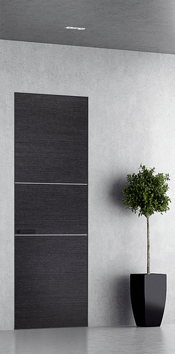 AVANTI 2H BLACK APRICOT DOUBLE INVISIBLE METAL FRAME BELLDINNI MODERN INTERIOR DOOR - 1