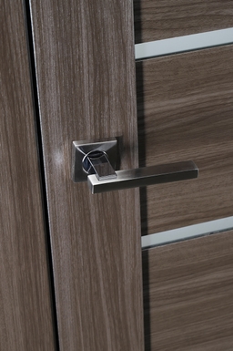 ALBA GRAY OAK POCKET BELLDINNI MODERN INTERIOR DOOR - 4