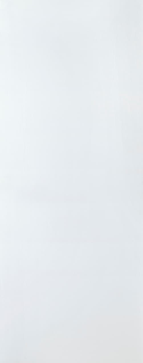 PALLADIO BIANCO NOBLE SLAB DOORS BELLDINNI MODERN INTERIOR DOOR - 1