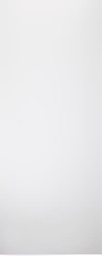 SMART PRO FLAT POLAR WHITE SLAB BELLDINNI MODERN INTERIOR DOOR - 1