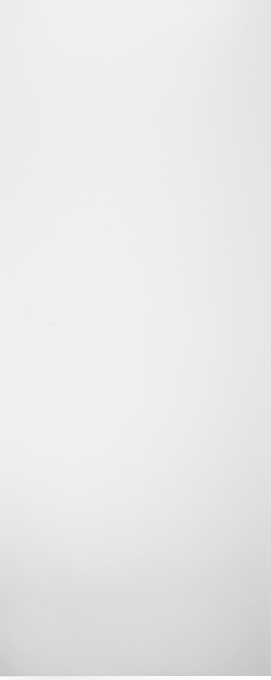 SMART PRO FLAT POLAR WHITE SLAB BELLDINNI MODERN INTERIOR DOOR