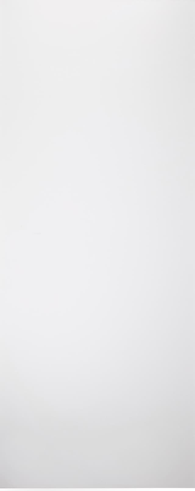 SMART PRO FLAT POLAR WHITE SLAB BELLDINNI MODERN INTERIOR DOOR