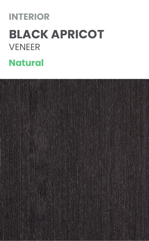 AVANTI 4H BLACK APRICOT DOUBLE POCKET BELLDINNI MODERN INTERIOR DOOR - 10