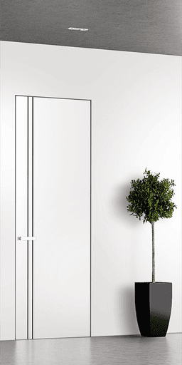 SMART PRO 2V BLACK POLAR WHITE DOUBLE INVISIBLE METAL FRAME BELLDINNI MODERN INTERIOR DOOR - 1