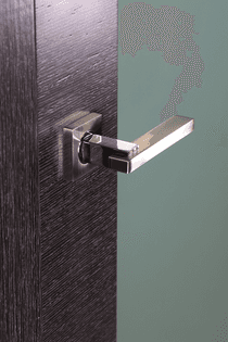 AVANTI 202 VETRO BLACK APRICOT CLOSET BELLDINNI MODERN INTERIOR DOOR - 7