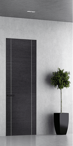 AVANTI 2U BLACK APRICOT DOUBLE INVISIBLE METAL FRAME BELLDINNI MODERN INTERIOR DOOR - 1