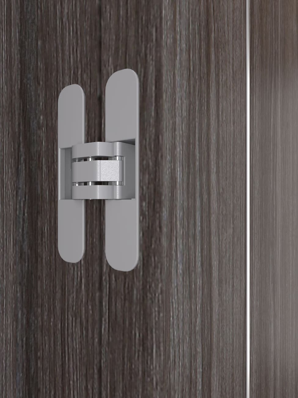 PALLADIO 2U GRAY OAK CLOSET BELLDINNI MODERN INTERIOR DOOR - 4