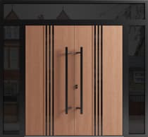 Double metal-aluminum modern exterior door Ronex 1055 - 6
