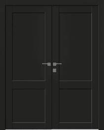 SHAKER 2 PANEL BLACK MATTE CLOSET BELLDINNI MODERN INTERIOR DOOR - 1