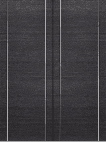 AVANTI 2U BLACK APRICOT DOUBLE BARN BELLDINNI MODERN INTERIOR DOOR - 2