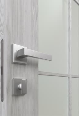 AVON 5 LITE VETRO RIBEIRA ASH INVISIBLE METAL FRAME BELLDINNI MODERN INTERIOR DOOR - 3