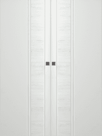 TWINWOOD 1 POLAR WHITE DOUBLE MAGIC BELLDINNI MODERN INTERIOR DOOR - 1