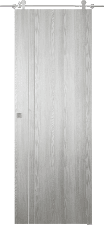 OPTIMA 2V RIBEIRA ASH DOUBLE BARN BELLDINNI MODERN INTERIOR DOOR - 1