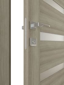 RITA VETRO SHAMBOR POCKET BELLDINNI MODERN INTERIOR DOOR - 2