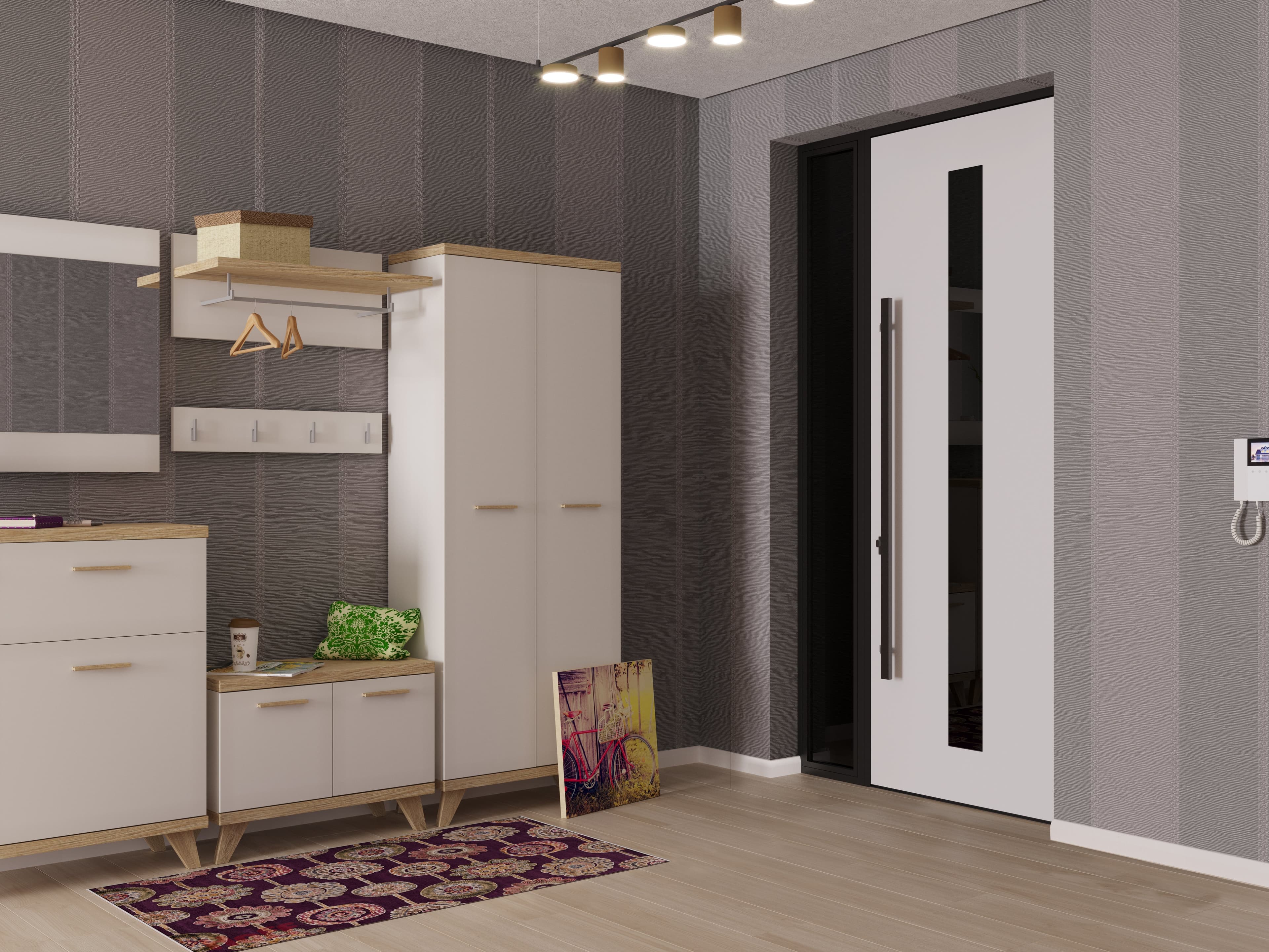 Single metal-aluminum modern exterior door Ronex 1055 8ft - 9