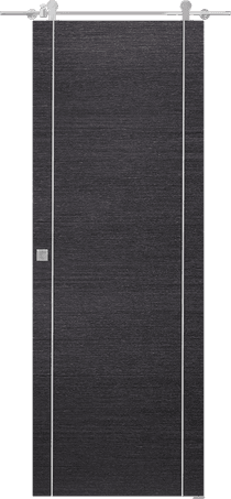 AVANTI 2U BLACK APRICOT DOUBLE BARN BELLDINNI MODERN INTERIOR DOOR - 1