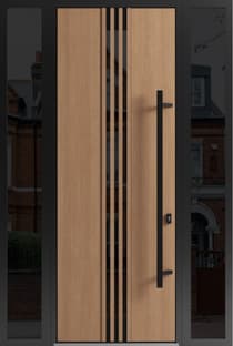 Single metal-aluminum modern exterior door Ronex 1055 8ft - 3