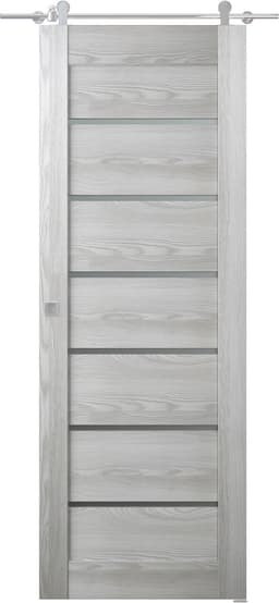 AVON 07-02 VETRO RIBEIRA ASH DOUBLE BARN BELLDINNI MODERN INTERIOR DOOR - 1