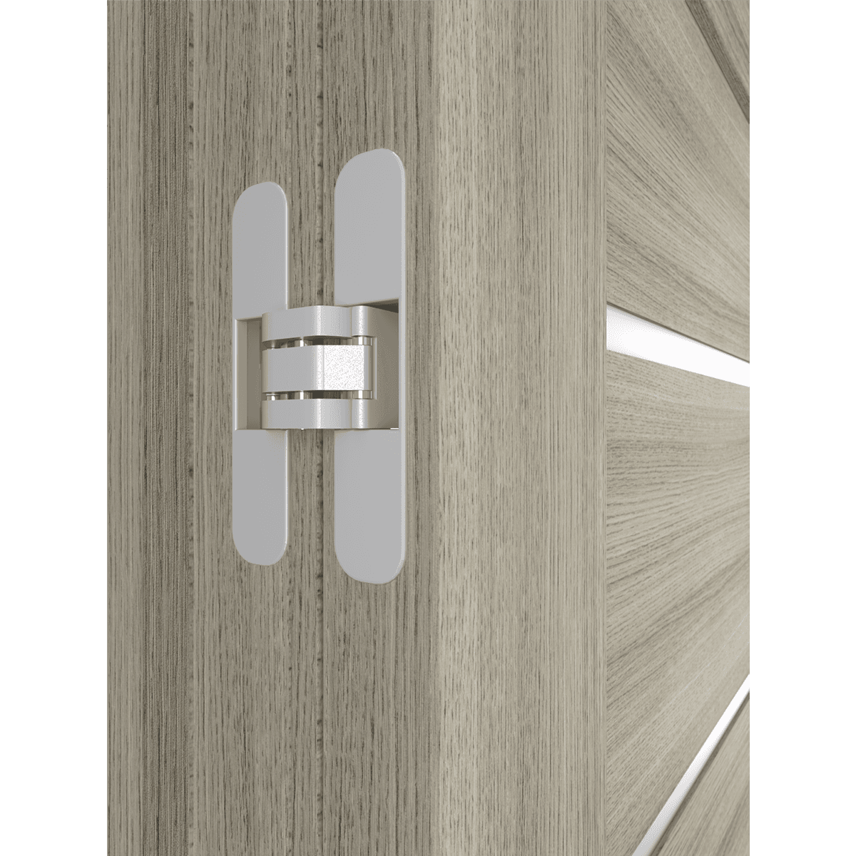 ALBA SHAMBOR INVISIBLE METAL FRAME BELLDINNI MODERN INTERIOR DOOR - 4