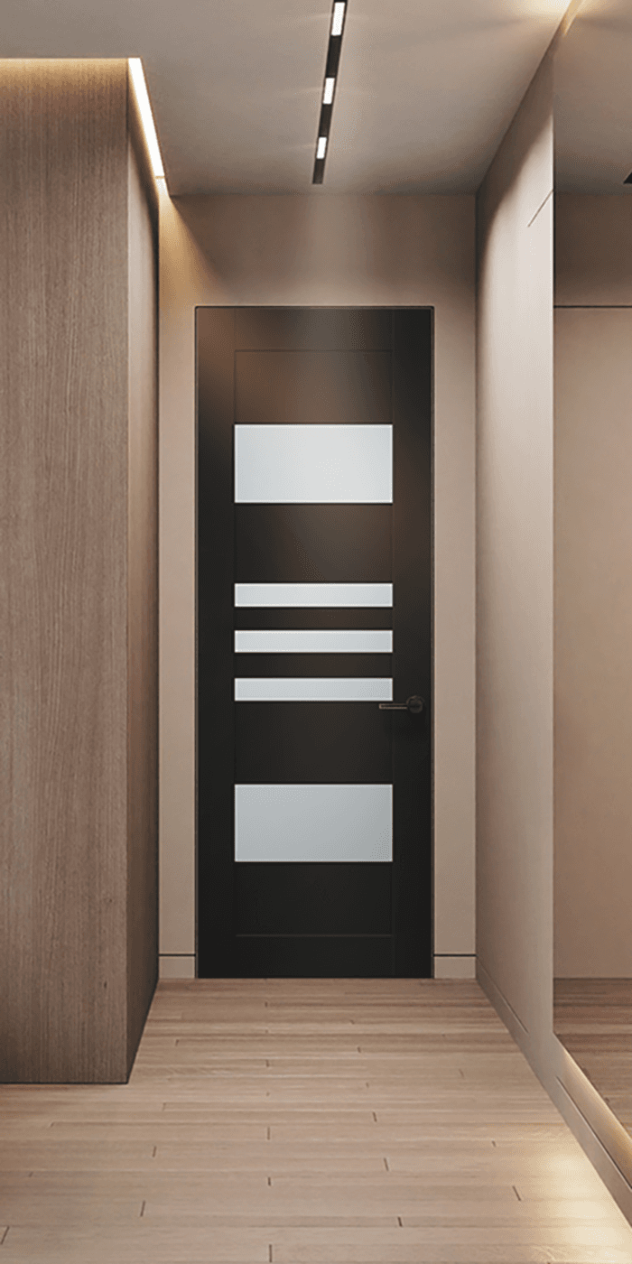 LETI VETRO BLACK MATTE INVISIBLE METAL FRAME BELLDINNI MODERN INTERIOR DOOR - 1