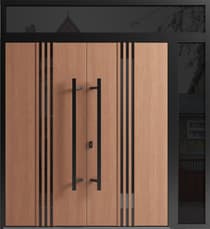 Double metal-aluminum modern exterior door Ronex 1055 8ft - 5