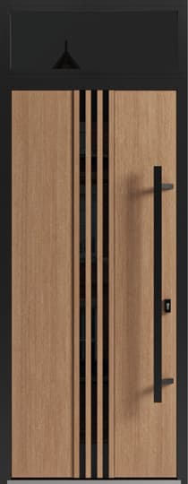 Single metal-aluminum modern exterior door Ronex 1055 8ft - 5