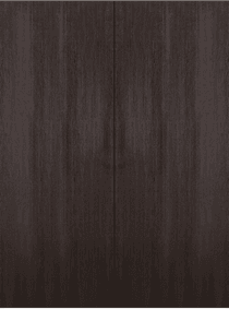 OPTIMA VERALINGA OAK DOUBLE MAGIC BELLDINNI MODERN INTERIOR DOOR - 2