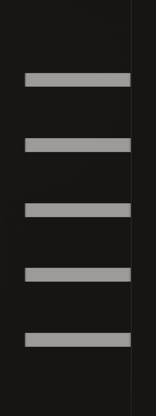 LEORA VETRO BLACK MATTE SLAB BELLDINNI MODERN INTERIOR DOOR - 1