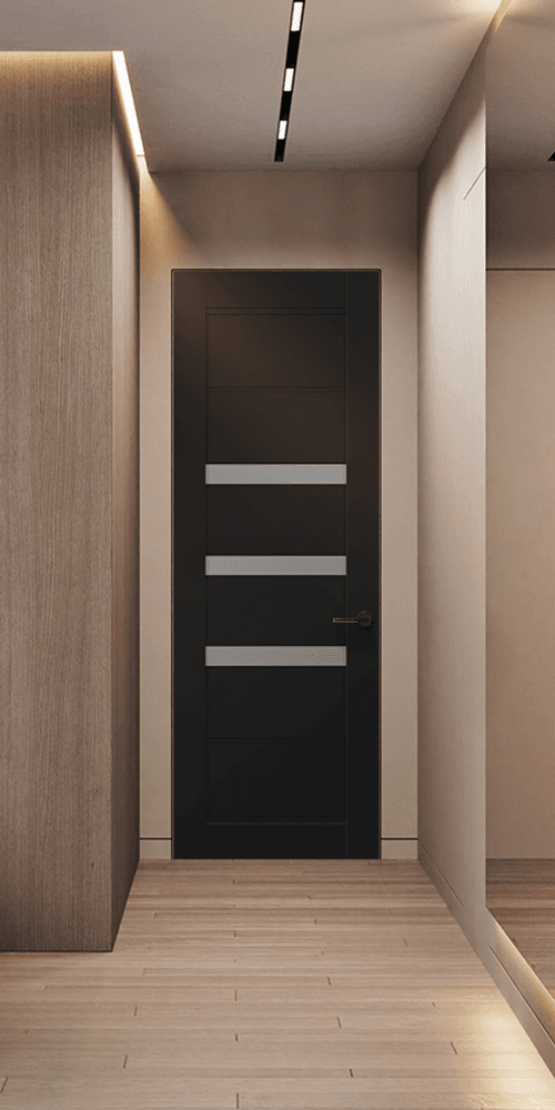 RITA VETRO BLACK MATTE DOUBLE INVISIBLE METAL FRAME BELLDINNI MODERN INTERIOR DOOR - 1