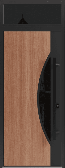 Single metal-aluminum modern exterior door Ronex 1077 8ft - 5