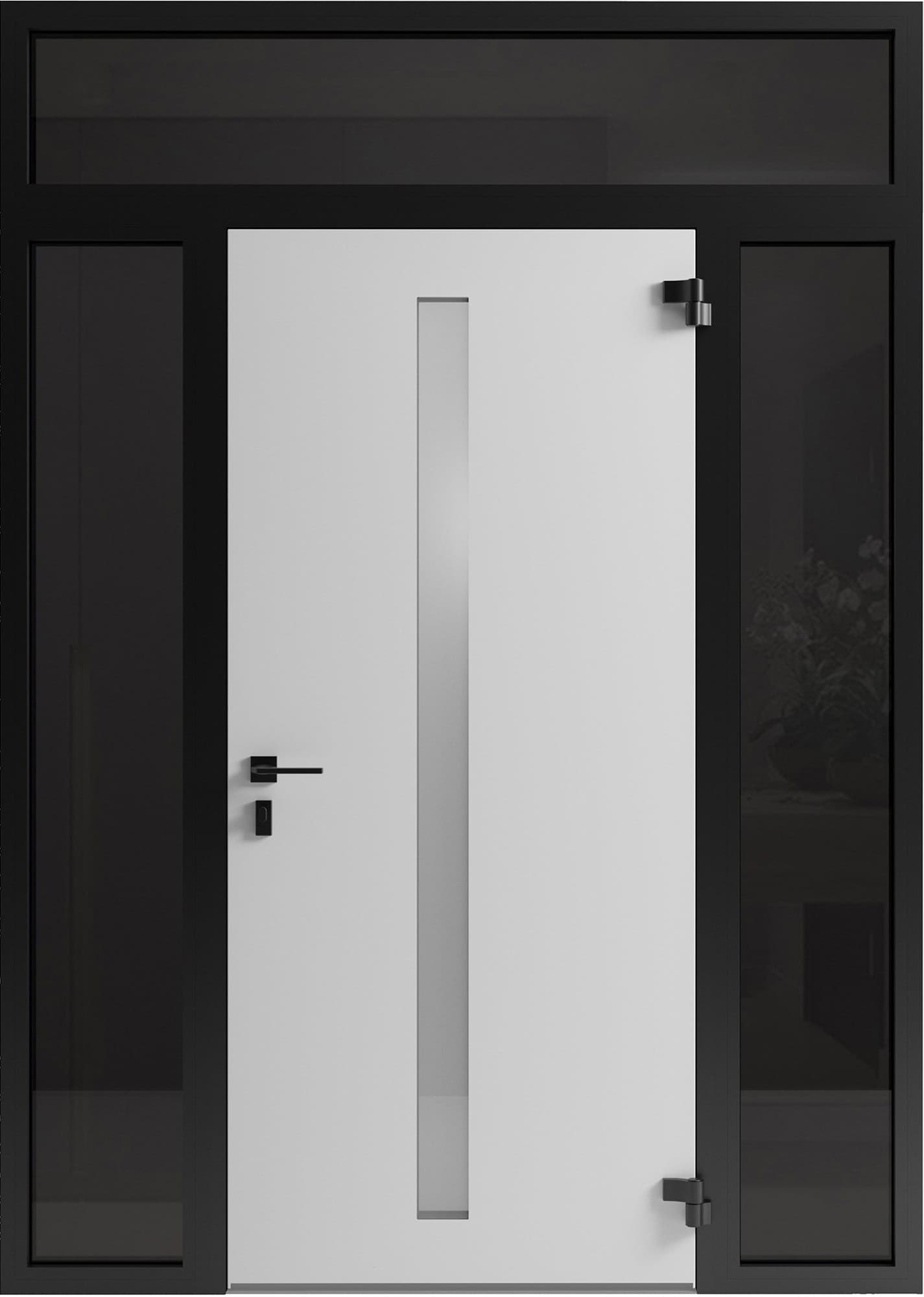 Modern steel exterior aluminum door Hiddex 0155 - 7