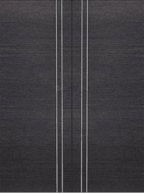 AVANTI 2V BLACK APRICOT DOUBLE BI-FOLD BELLDINNI MODERN INTERIOR DOOR - 2