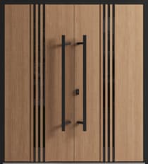 Double metal-aluminum modern exterior door Ronex 1055 - 1