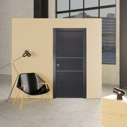 AVANTI 2H BLACK APRICOT BARN BELLDINNI MODERN INTERIOR DOOR - 8