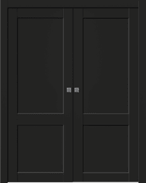 SHAKER 2 PANEL BLACK MATTE DOUBLE POCKET BELLDINNI MODERN INTERIOR DOOR - 1