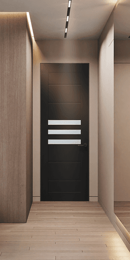 DOME VETRO BLACK MATTE DOUBLE INVISIBLE METAL FRAME BELLDINNI MODERN INTERIOR DOOR - 1