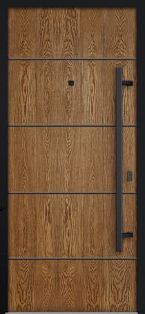Single Modern Steel Exterior Door Deux 6683 - 1