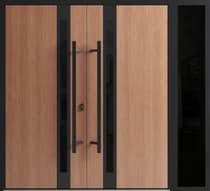 Double metal-aluminum modern exterior door Ronex 1033 - 2