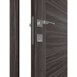 PALLADIO 10 LITE VETRO GRAY OAK SWING BELLDINNI MODERN INTERIOR DOOR - 3