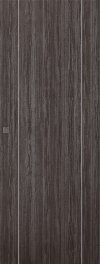 PALLADIO 2U GRAY OAK MAGIC BELLDINNI MODERN INTERIOR DOOR
