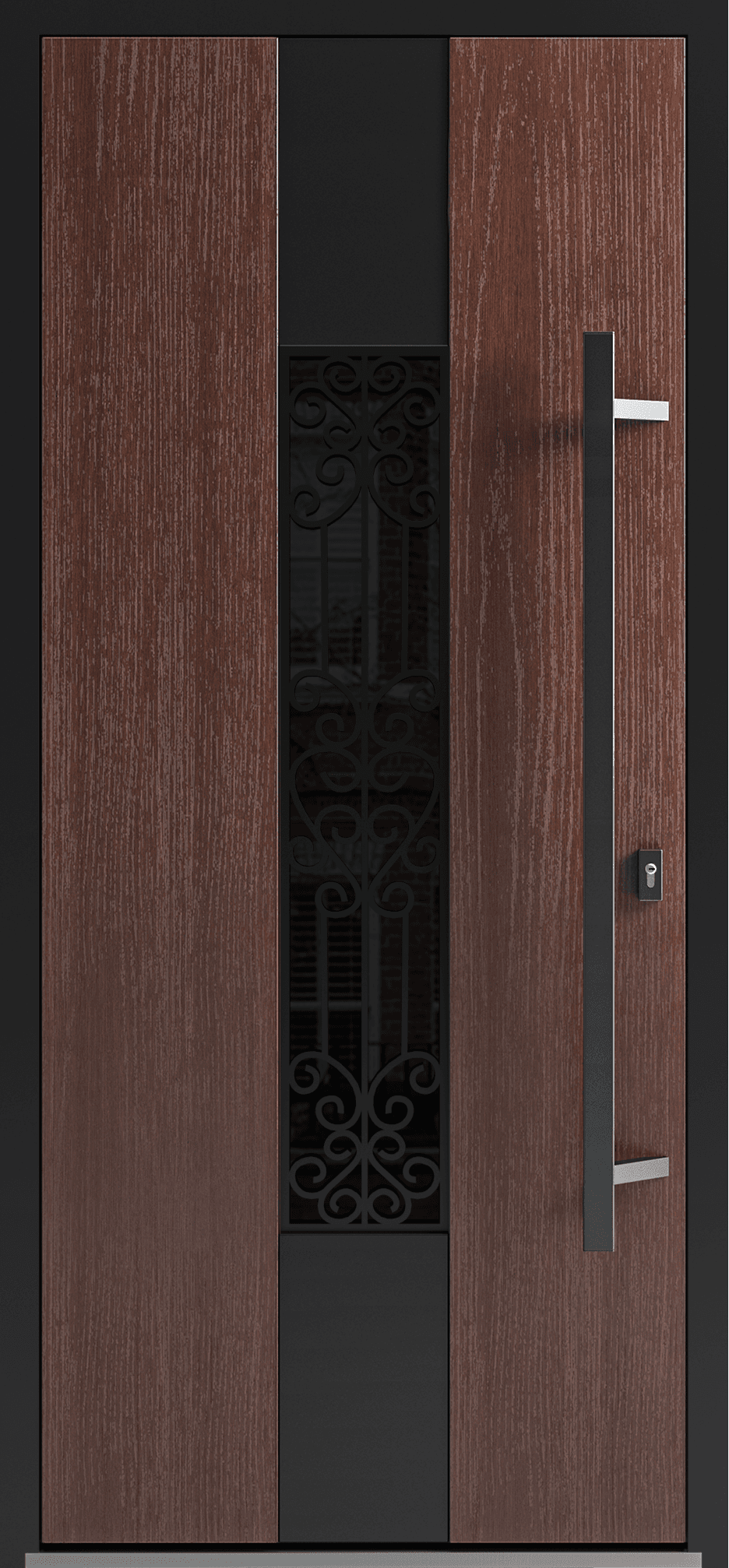 Single metal-aluminum modern exterior door Ronex 1205 - 1