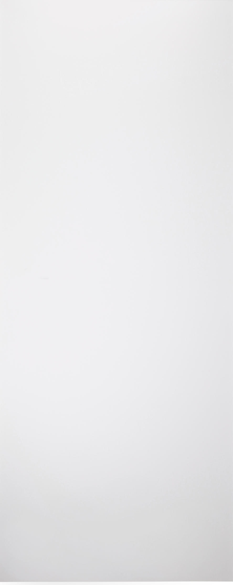SMART PRO FLAT POLAR WHITE SLAB BELLDINNI MODERN INTERIOR DOOR